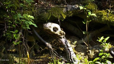 natural art  (2).jpg