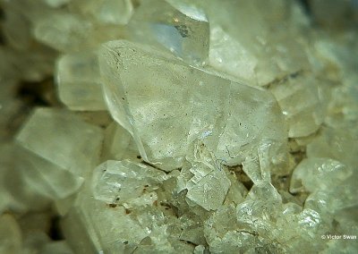 0103-Calciet.JPG