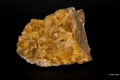 6565-Calciet.JPG