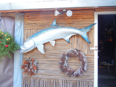 Tarpon at the front door.JPG