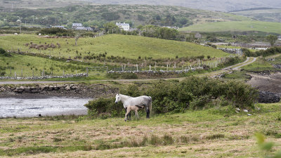 Streamstown Bay