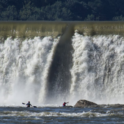 Kayakers