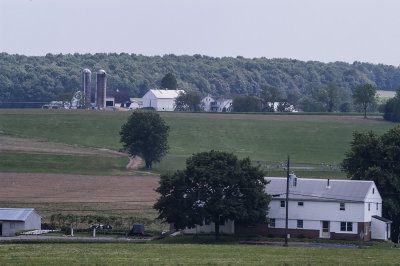 Amish Rural Scene