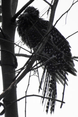 Female after a big rain storm