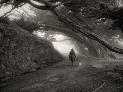 A walk in the fog