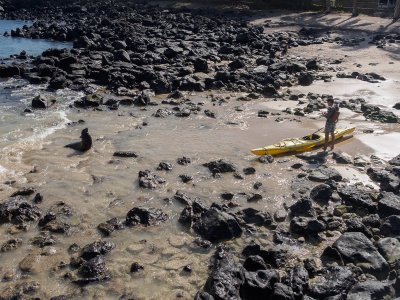 Kayaker Blocked by Sea Lion