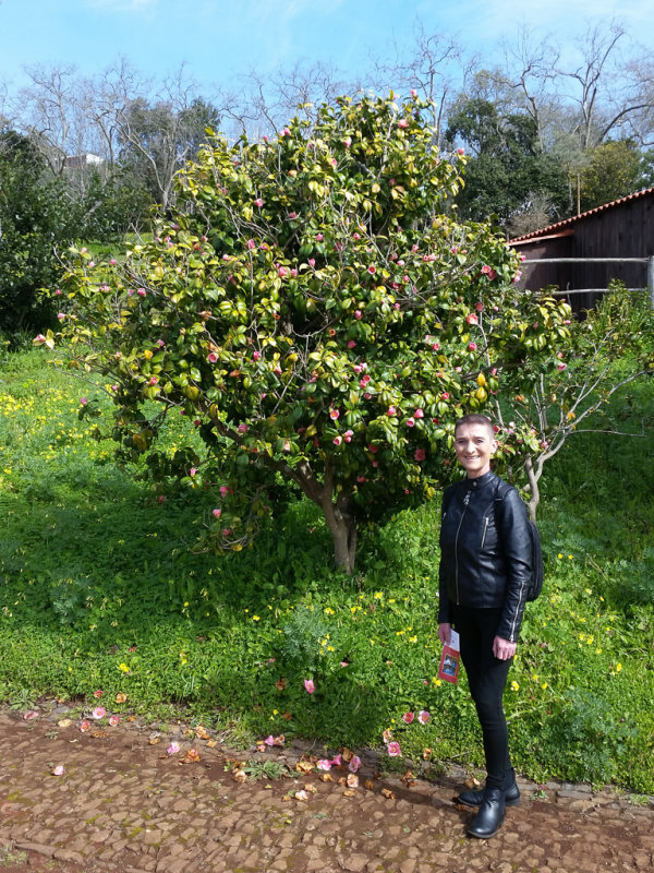 Palheiro Gardens
