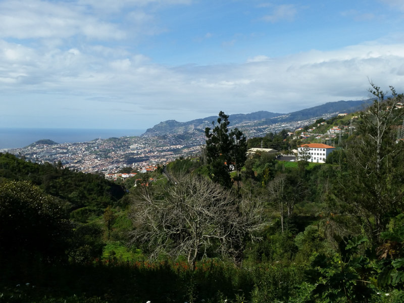 Palheiro Gardens