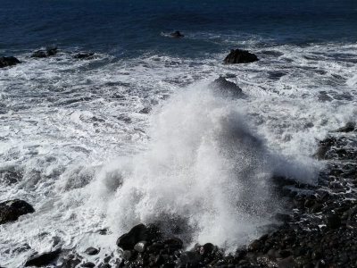 Camara de Lobos