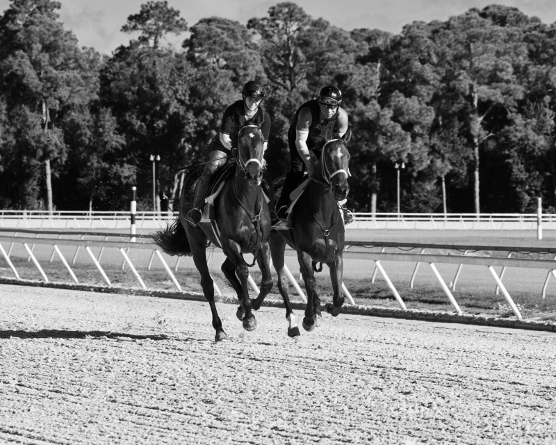 Exercise Rider by Morning - Linebacker by Day