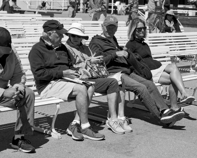 Old Codgers at the Track