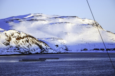 In Btsfjord