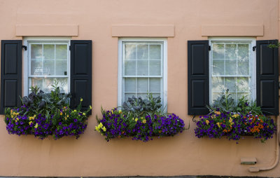 flowers-5.jpg