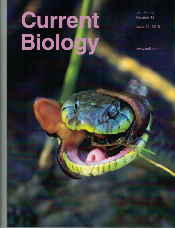Current Biology Cover