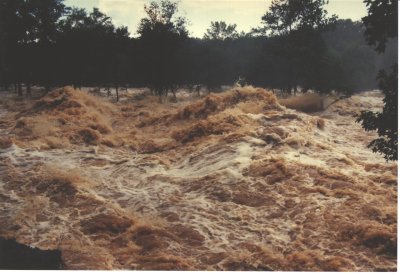 flood-1.jpg