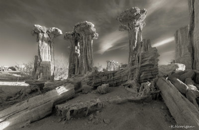 Dreamscape in Monotone