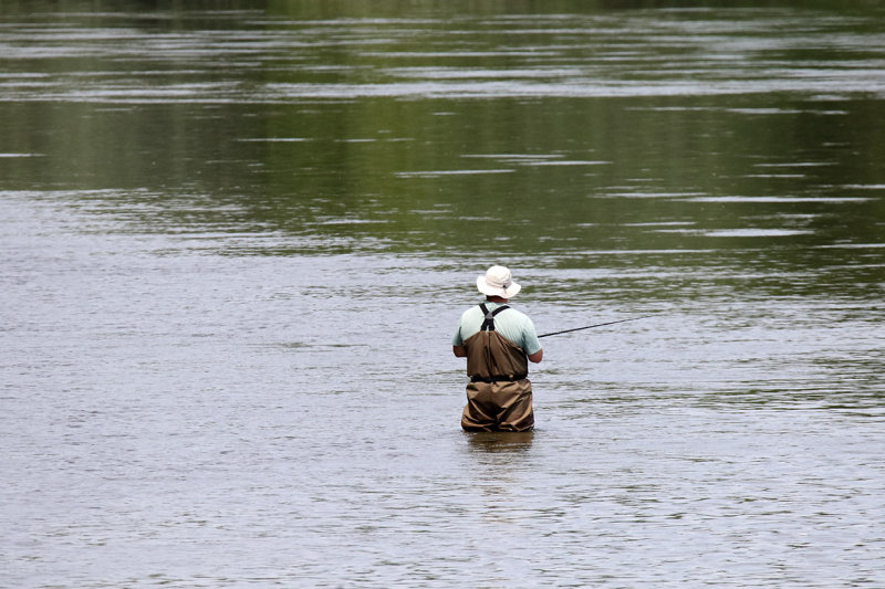 Fishing on the Fox