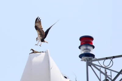 Tower Landing