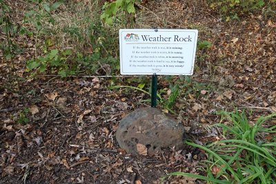 Weather Rock