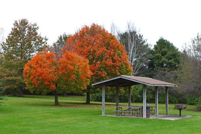 Autumn Seating