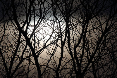 Silhouettes of the Super Moon