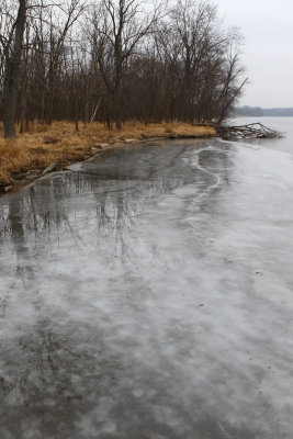 Ice on the Shore