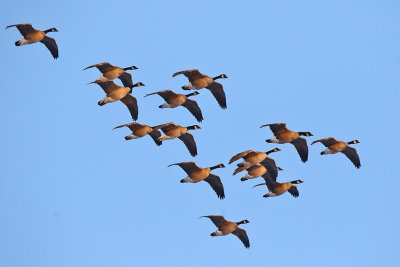 Group Landing