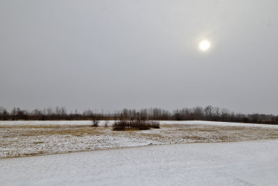 Shinning Through the Snow