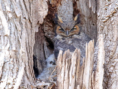 Snuggling with Mom