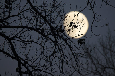 October Moonrise