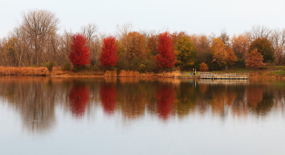 Fall Across the Lake