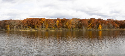 Flowing Through Fall