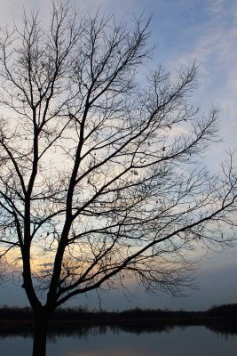 Letting Through the Light