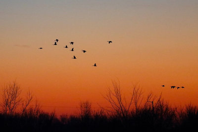 Flight Before Dark