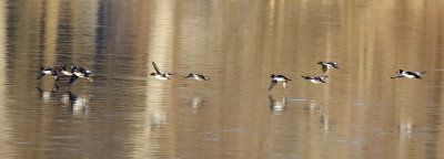 Movement En Masse