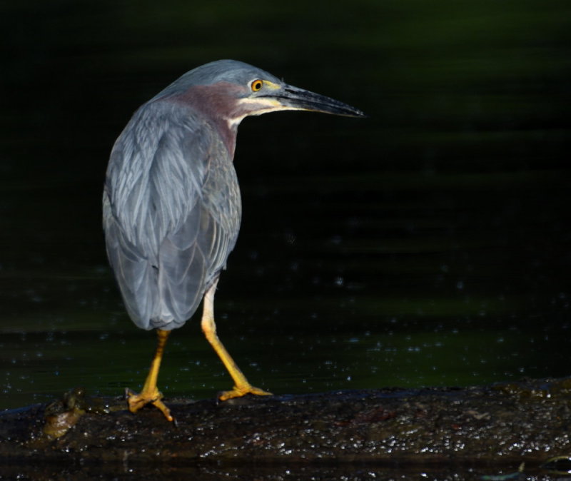 D50_3903.jpg