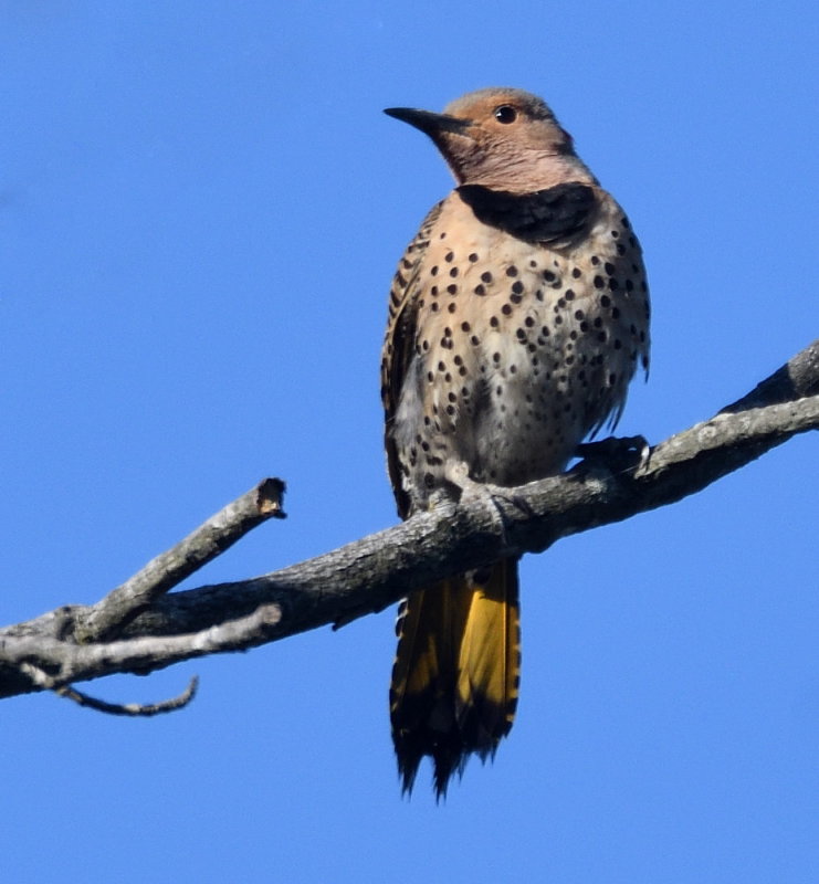 D50_3975.jpg