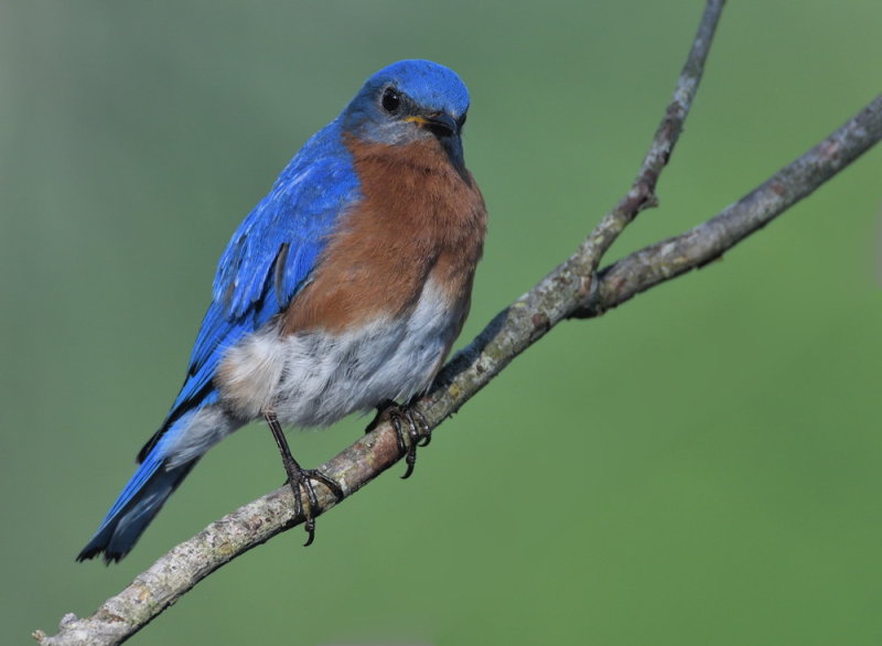 D50_4506.jpg