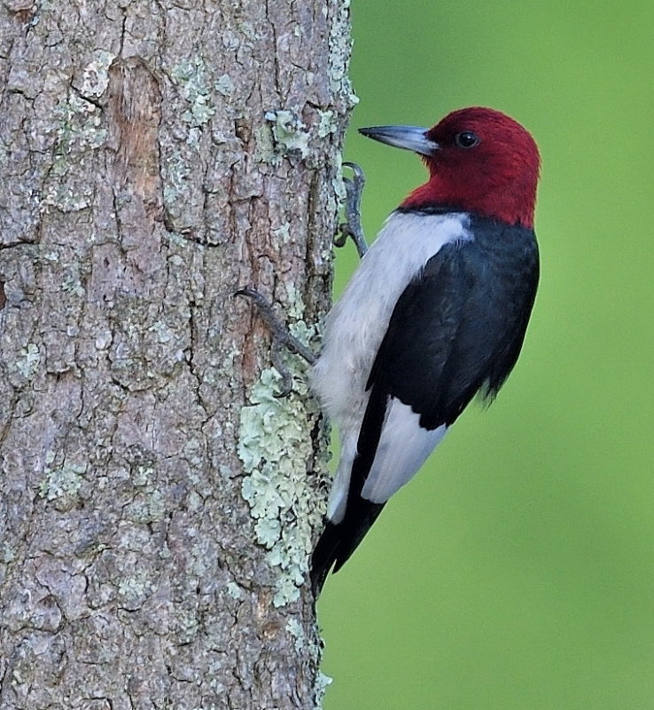 D50_5054.jpg