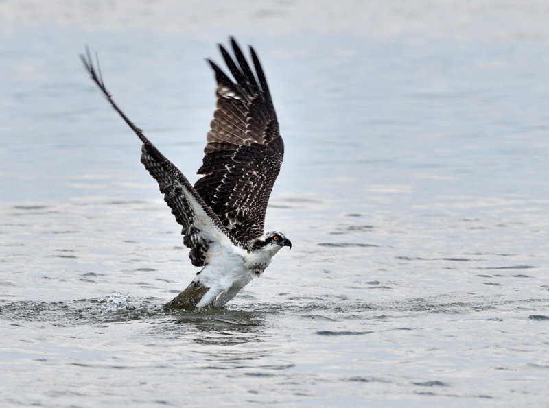 D50_5702.jpg