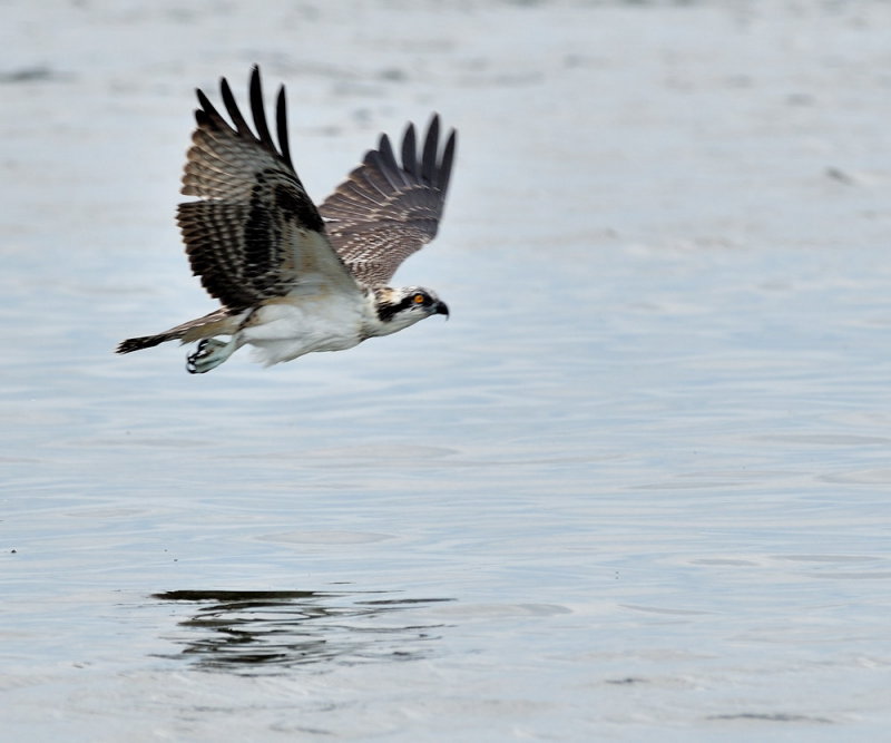D50_5708.jpg