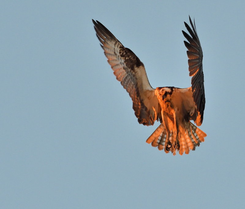 D50_6254.jpg