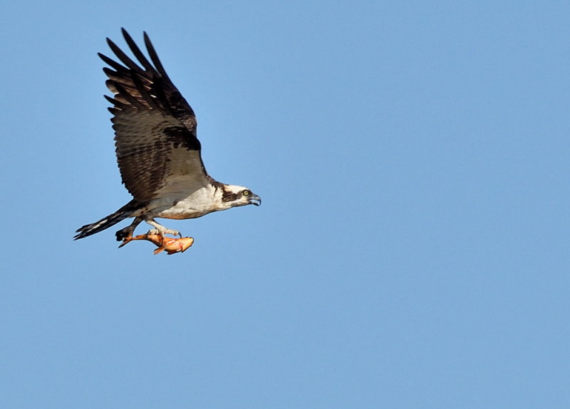 D50_6394.jpg