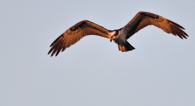 D50_6680.jpg