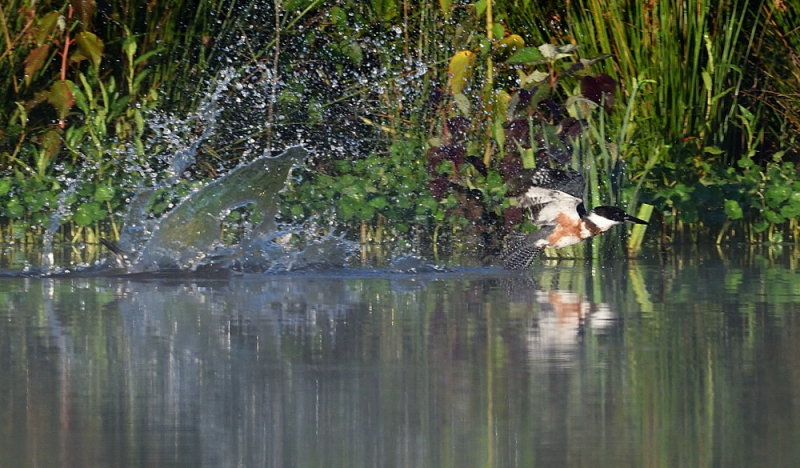 D50_6702.jpg