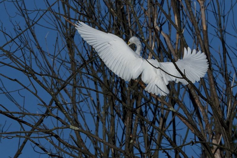 D50_6740.jpg