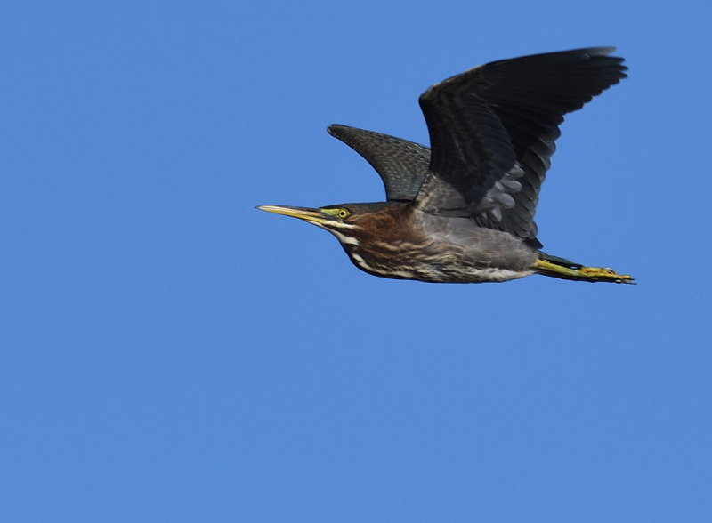 D50_6851.jpg