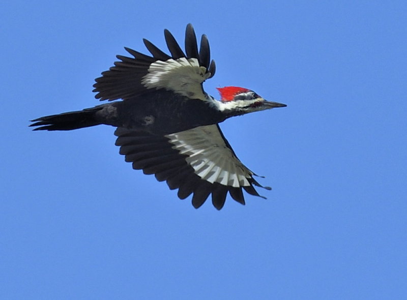 D50_7857.jpg