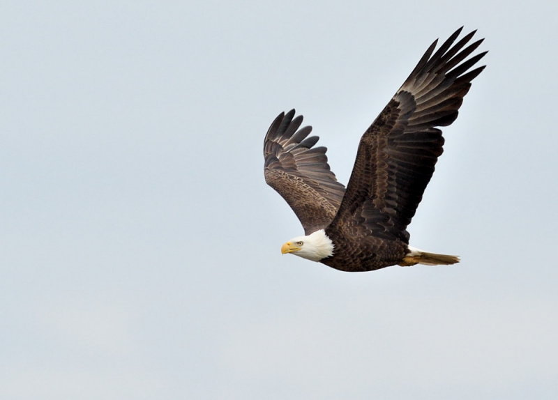 D50_9567.jpg