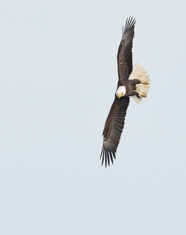 D50_9629.jpg